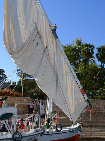 Felucca Fotos