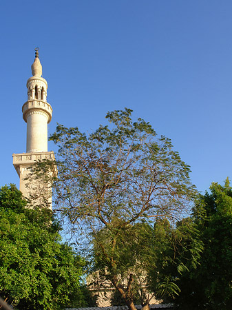 Foto Moschee in Luxor