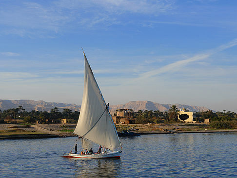 Foto Felucca - 