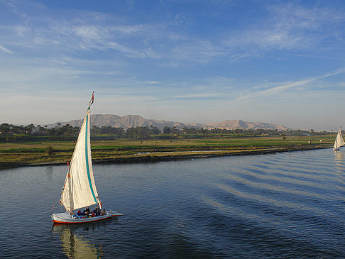 Foto Felucca - 