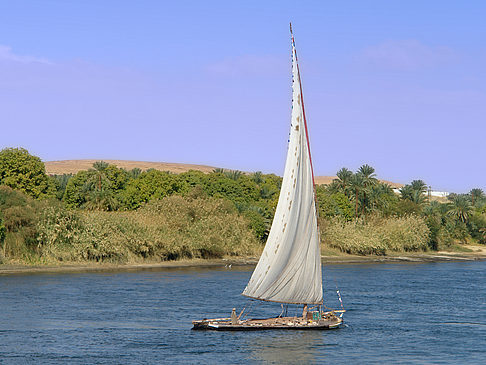 Fotos Felucca