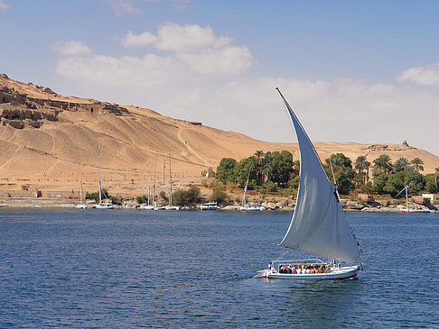 Felucca