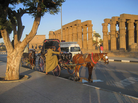 Foto Luxor Tempel bei Sonnenuntergang