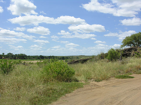 Foto Straßenränder - 