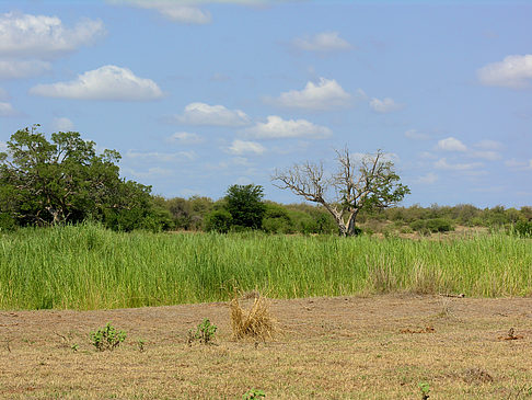 Landschaften