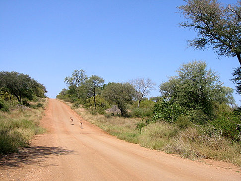 Foto Straßen