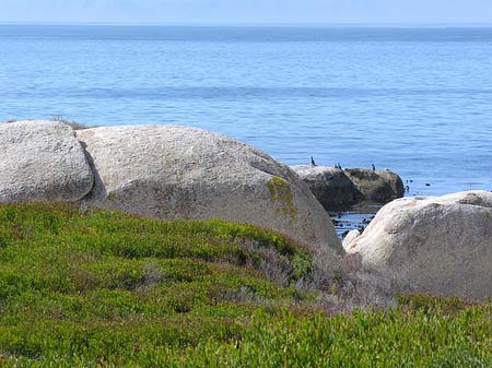 Felsen am Strand Fotos