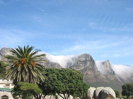 Foto Der Tafelberg - 